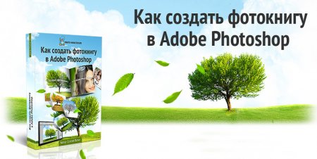     Adobe Photoshop (2012)